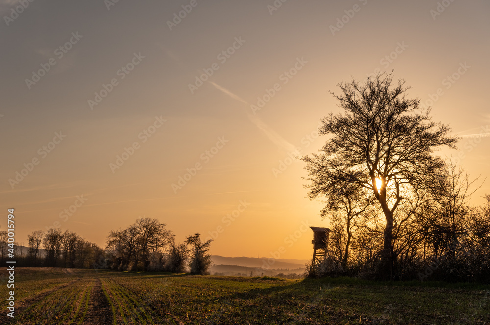 Country landscape in sunshine in Germany