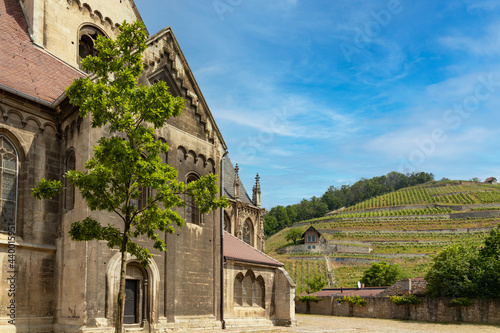 Blick auf einen Weinberg von der Kirche in Freyburg an der Unstrut