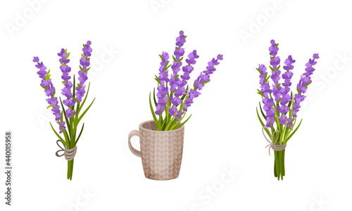 Bunch of Violet Lavender Twigs Tied Together and Rested in Mug Vector Set