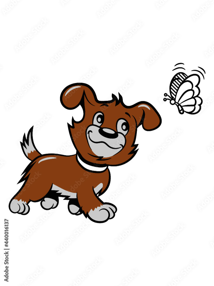Obraz premium Hund jung welpe 