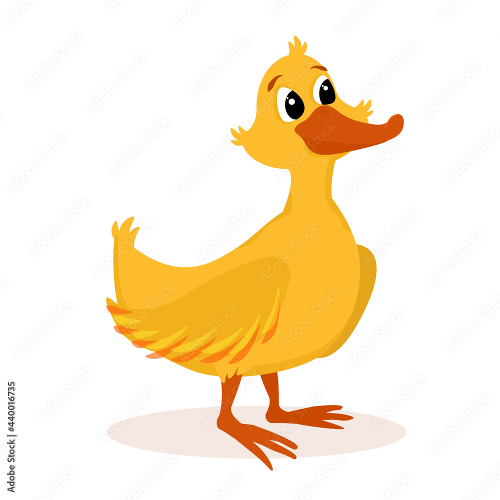 vector illustration of a cartoon-style duck isolated on a white background vector illustration of a cartoon-style duck isolated on a white background