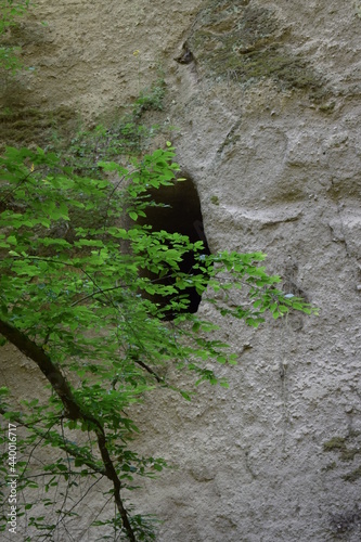 wilde Wolfsschlucht in der Eifel photo