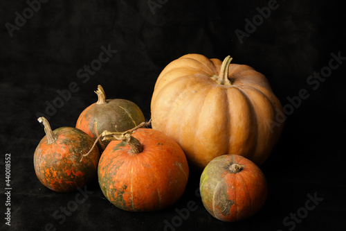 pumpkin, orange, autumn