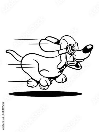Hund jung welpe 