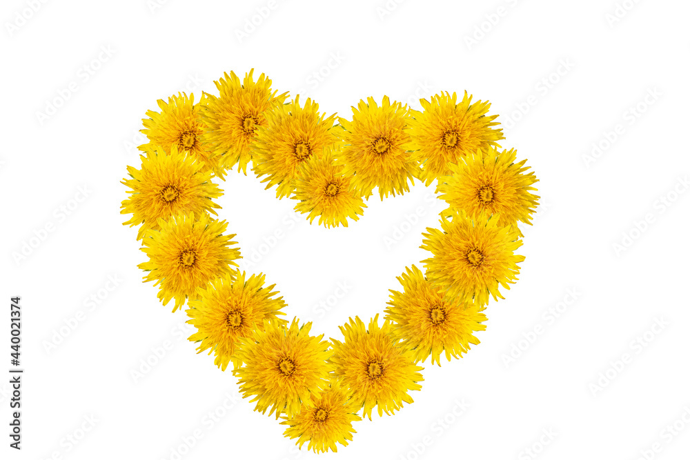 Symbol of love, happiness, summer - heart shape made of yellow dandelions isolated on white background