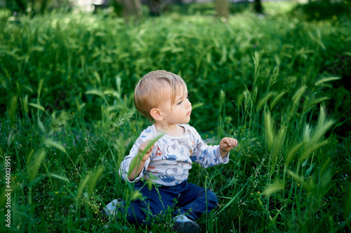 Kid sits on the lawn among the green spikelets