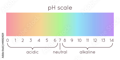 pH scale diagram. Vector rainbow illustration