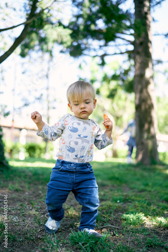 Small child with a carrot in his hand walks on the green grass in the park