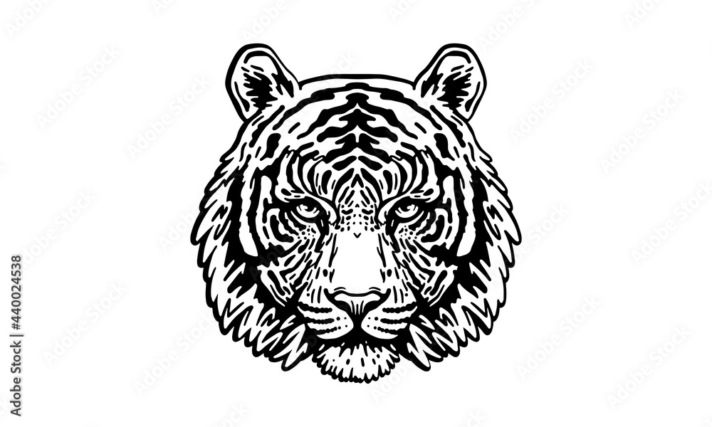 Sumatran tiger_face