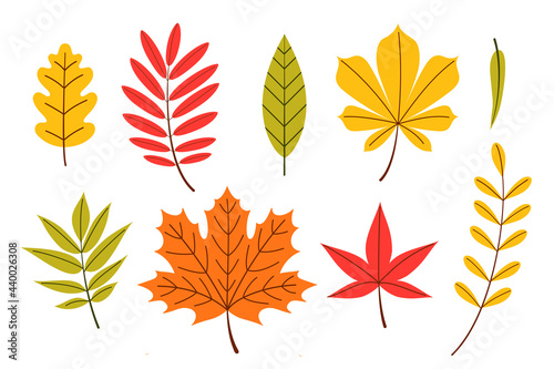 Autumn Leaves Set, vector Illustration in flat cartoon style