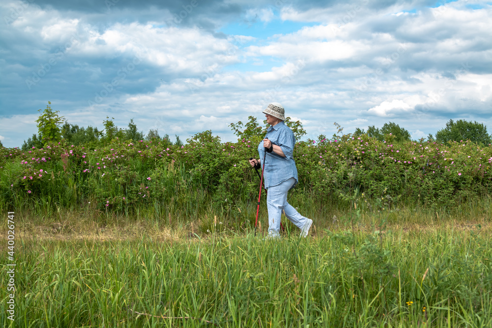 The grandmother is engaged in Scandinavian walking. An elderly woman goes in for sports. The grandmother is engaged in Scandinavian walking. An elderly woman goes in for sports.
