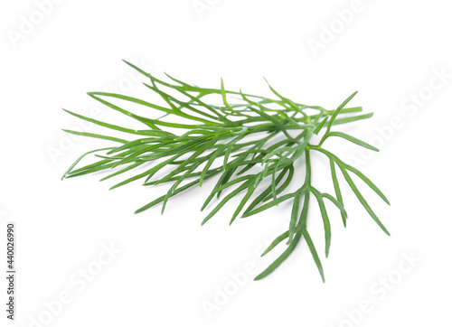 Sprigs of fresh dill isolated on white