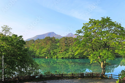 初夏の五色沼「毘沙門沼と磐梯山」（福島県・北塩原村）