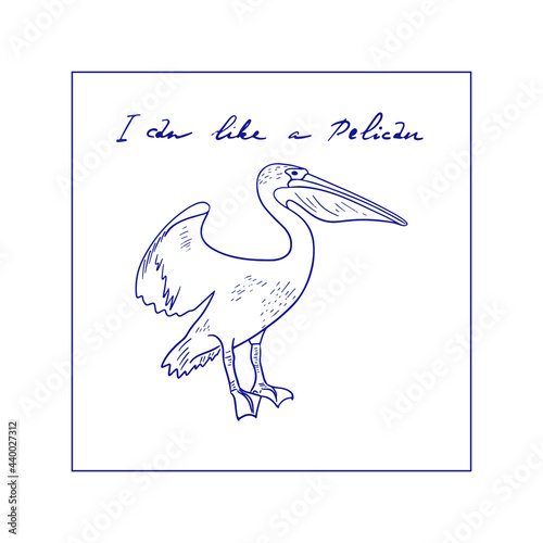 Vector graphic Pelican illustration with hand drawn lettering. Beautiful bird for printing and design.