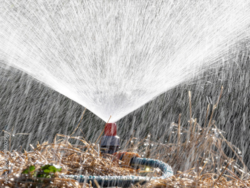 Sprinker irrigation system spraying water on field - close up photo