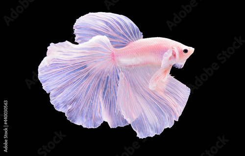 Beautiful colors