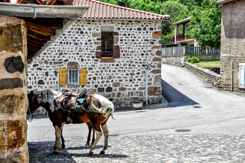 Arlempdes, the most beautiful villages of France, where life seems to be slowly scribbled for