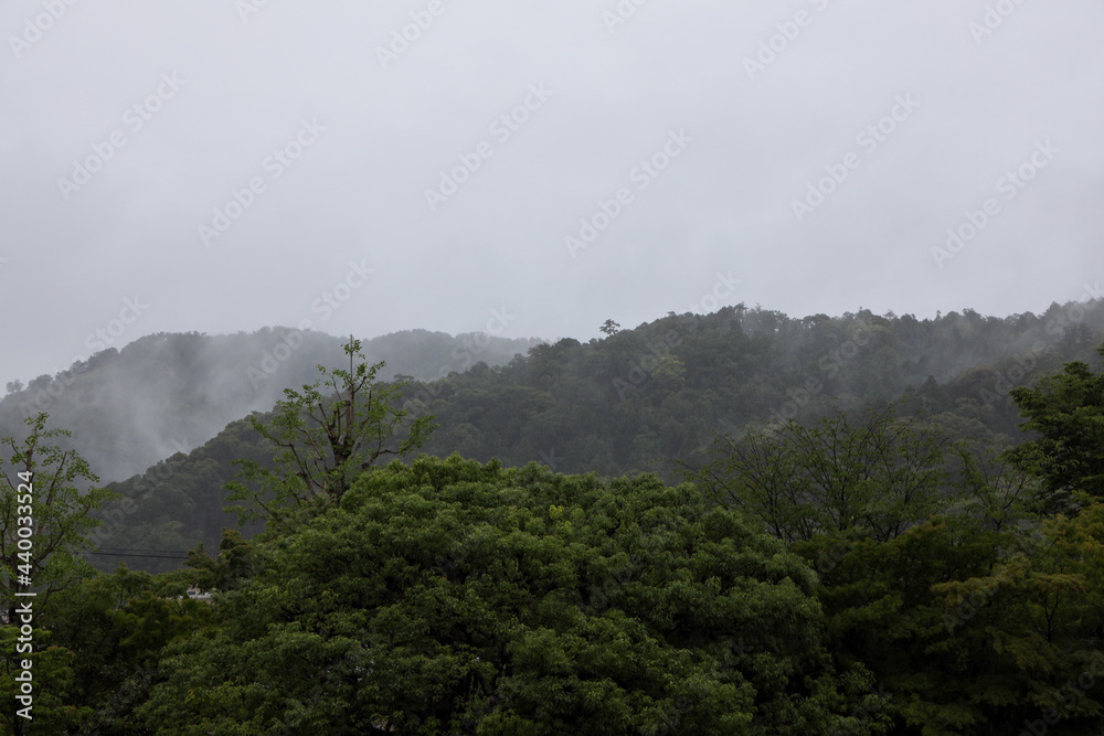 京都ぶらり、東山の雨霧