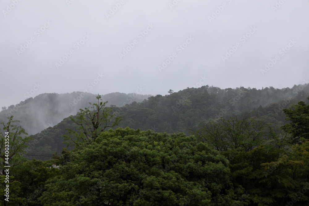Fototapeta premium 京都ぶらり、東山の雨霧