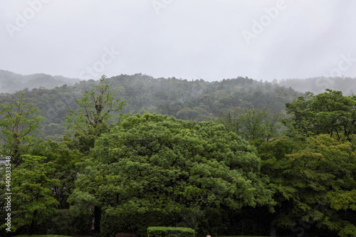 京都ぶらり、東山の雨霧