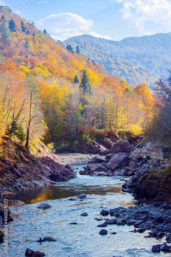 Река Белая в Кавказском заповеднике