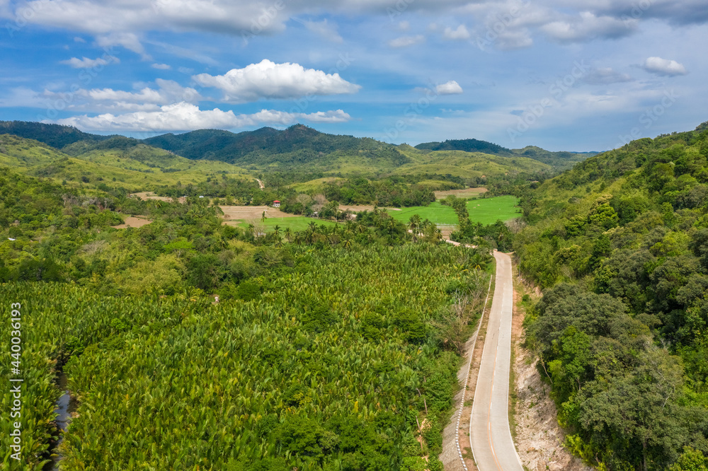 Fototapeta premium Aerial view of mangrove forest and river on the Coron island, Philippines.