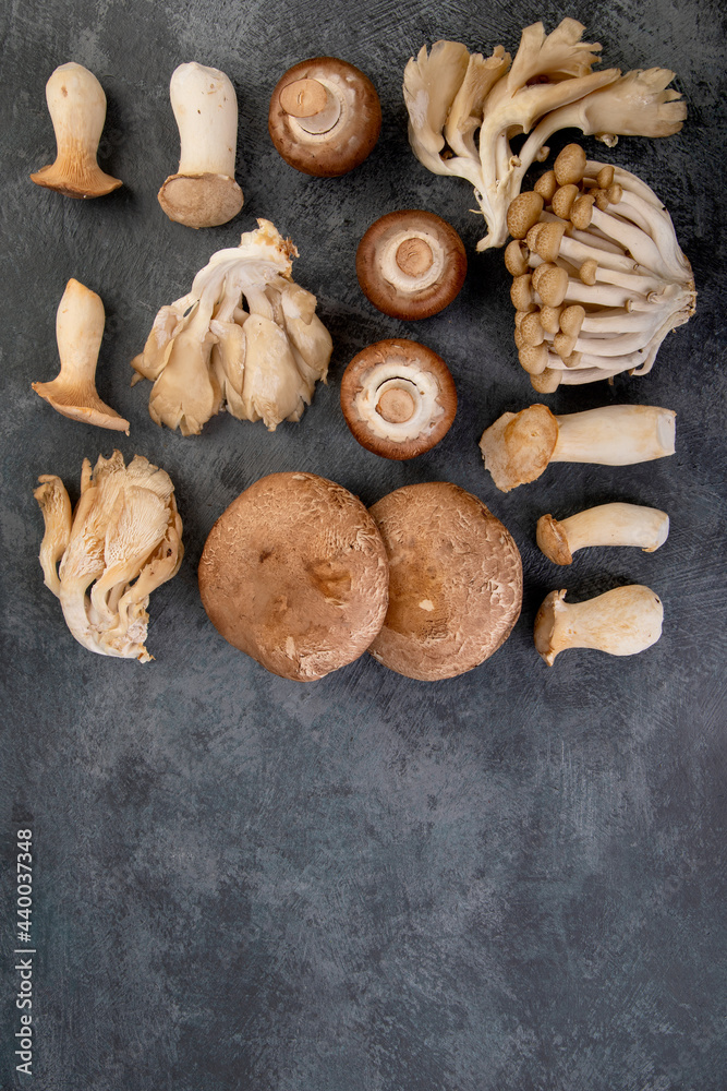 Mushrooms varieties on dark background. Delicious and nutritious ingredients for vegan food. Mushrooms varieties on dark background. Delicious and nutritious ingredients for vegan food.