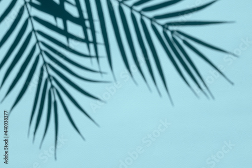 The shadow of palm leaves on a blue surface. Summer vacation concept.