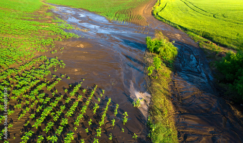 Foto View from the drone on the rain-damaged agricultural fields