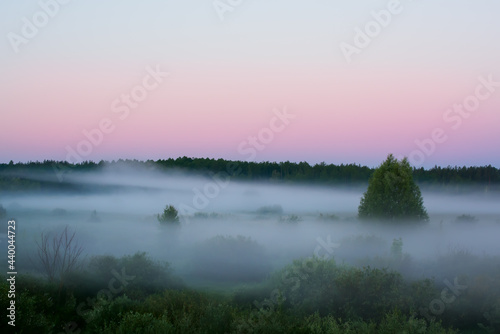Early gloomy misty morning among meadows and forests. Selective focus. summer morning landscape in nature.