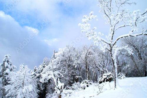 冬山晴れてきた 雪景色