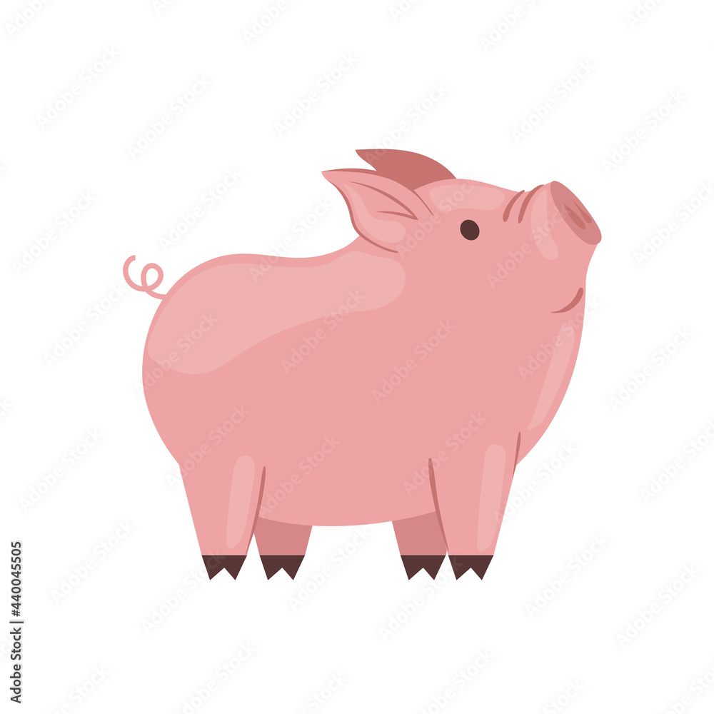 Cute pig cartoon