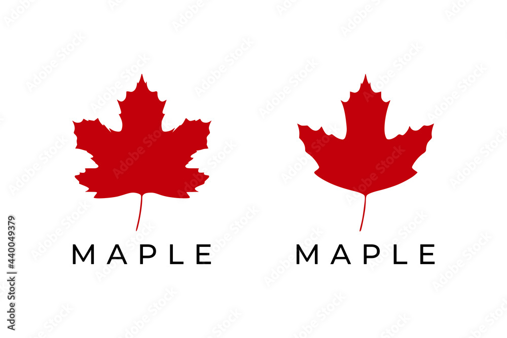 Maple leaf logo isolated on white background. Vector illustration Maple leaf logo isolated on white background. Vector illustration