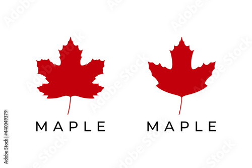 Maple leaf logo isolated on white background. Vector illustration