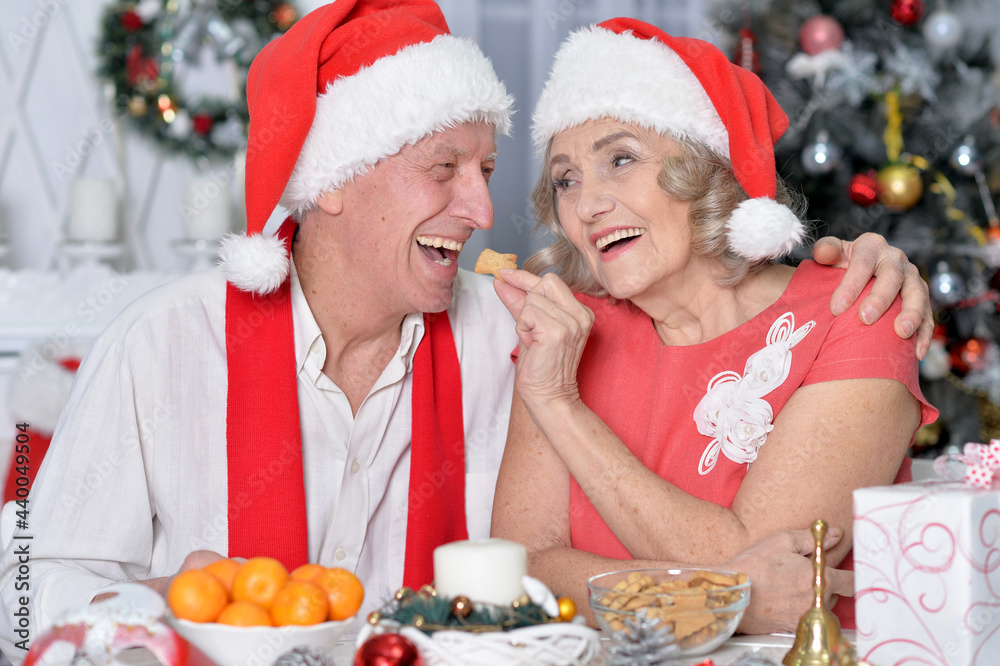 Portrait of smiling senior couple celebrating Christmas at home Portrait of smiling senior couple celebrating Christmas at home