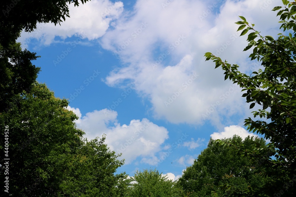 爽やかな梅雨の晴れ間 初夏 風景 爽やかな梅雨の晴れ間 初夏 風景