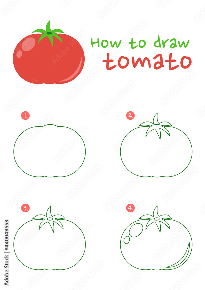 How to draw a tomato vector illustration. Draw a tomato step by step