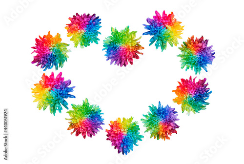 Heart shape made of colored chrysanthemums isolated on a white background. The flowers are painted in the colors of the rainbow. View from above.
