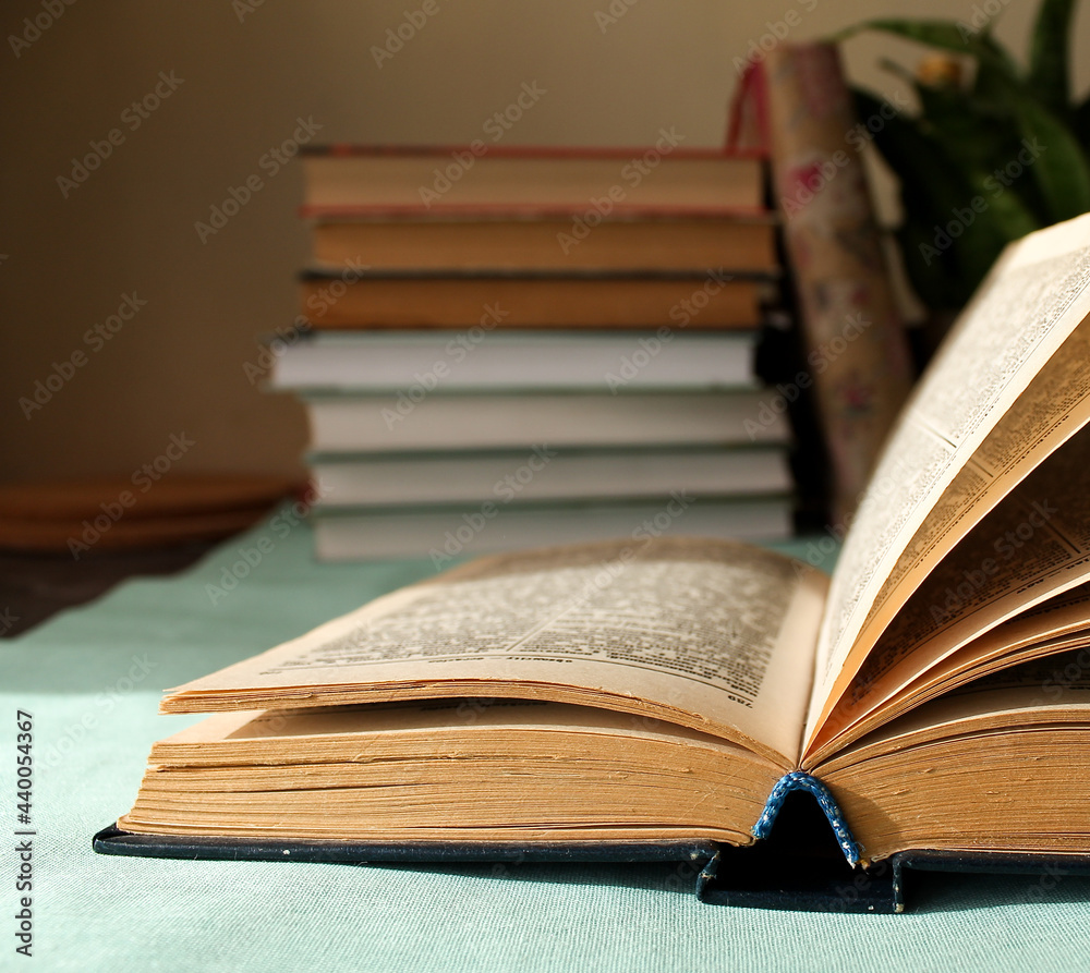 open book on desktop beige wall, blue tablecloth, potted flower, books open book on desktop beige wall, blue tablecloth, potted flower, books