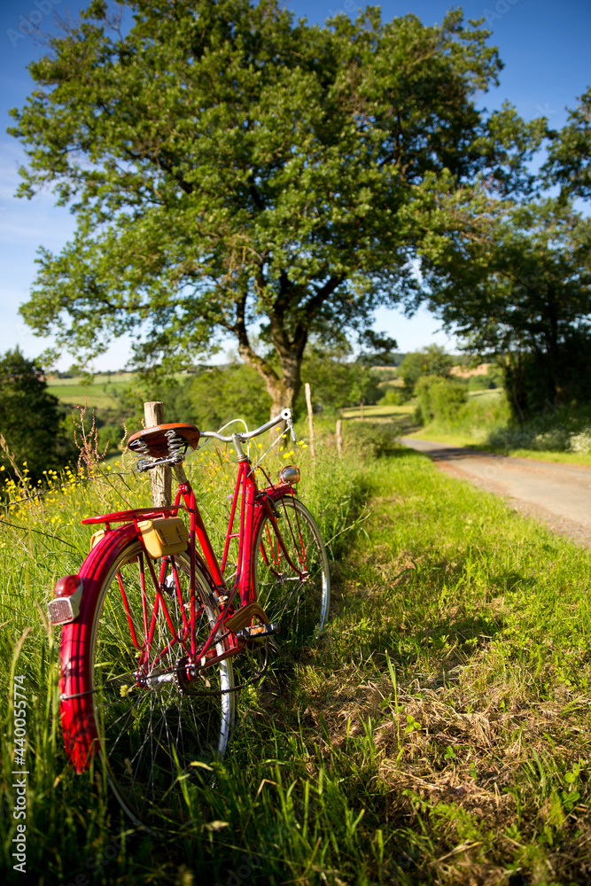 Vieux vélo rouge sur une route de campagne au milieu de la nature.