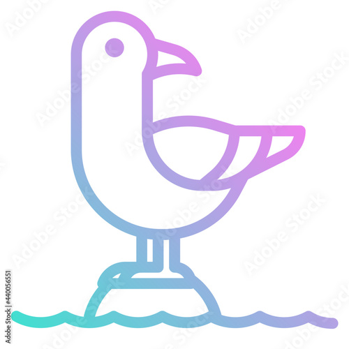 seagull