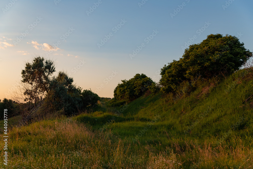view of the hills covered with grass and bushes at sunset view of the hills covered with grass and bushes at sunset
