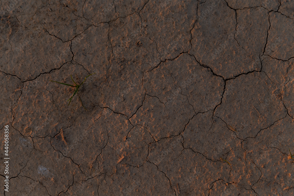 Fototapeta premium dry cracked earth top view