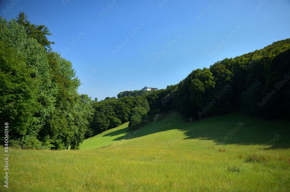 Blick über blühende Wiesen und Wald auf Schloss Waldeck am Edersee