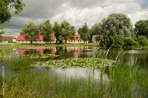 Pond with water lilies in Kabile village, Latvia. photo