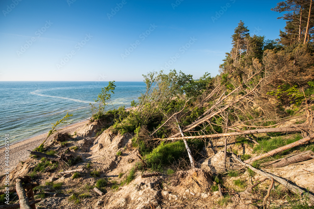 Landslide cliff by the sea with trees, Labrags, Latvia. Stock Photo ...
