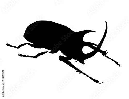 Rhinoceros beetle silhouette isolated on white background. Vector illustration