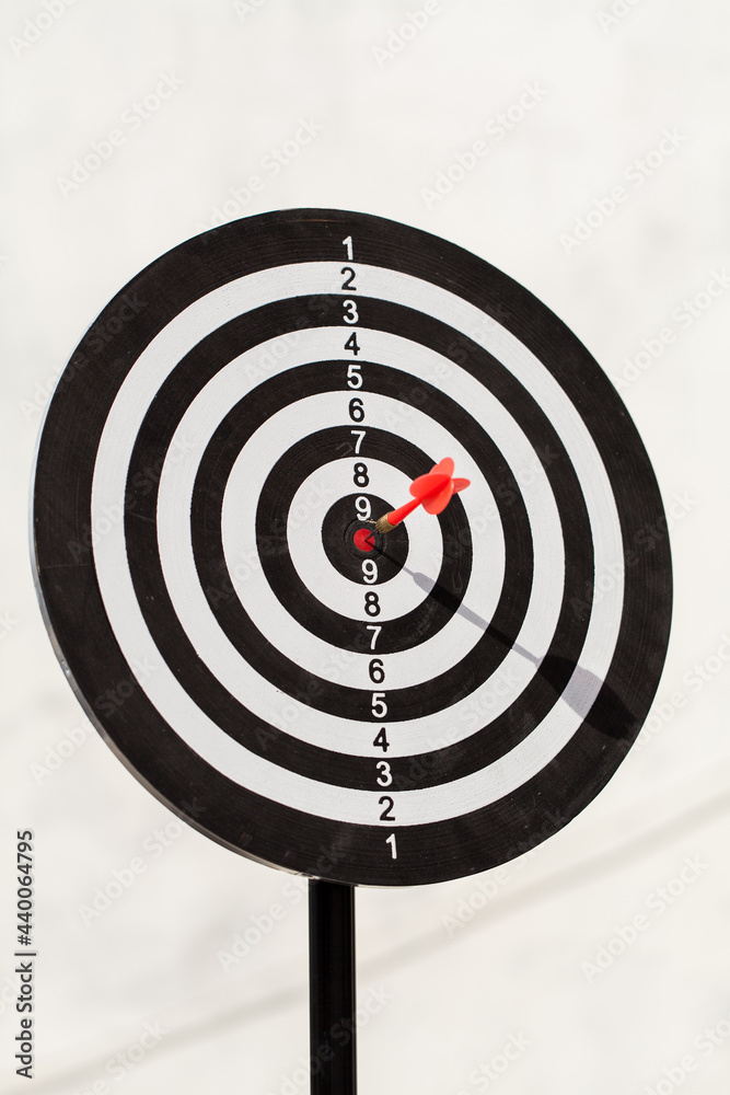red dart in the target center of dart board. goal concept. red dart in the target center of dart board. goal concept.