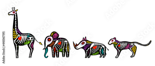 Vector colorful set of skeletons of savannah animals with floral design, isolated on white background. Dia de los Muertos, Day of the dead or Halloween concept. Giraffe, elephant, rhino and tiger