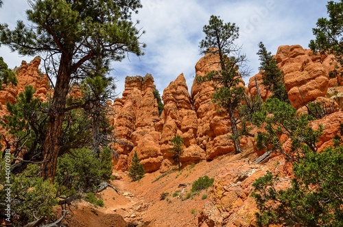 Red Canyon, Utah